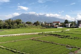 Mount Marapi's activity increasing since October 7: Authority