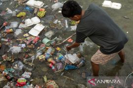 Aksi bersih Pantai Teluk Lalong di Banggai Page 3 Small