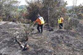 BMKG deteksi 586 hot spot di Riau