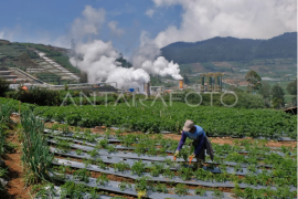 Kementerian ESDM dorong pengembangan PLTP Page 1 Small