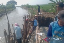 Relawan bencana Bekasi gotong royong perbaiki tanggul jebol di Pebayuran
