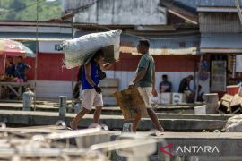 Aktivitas buruh angkut di Pelabuhan Rakyat Luwuk Page 4 Small