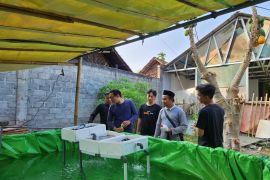 Mahasiswa Unmuh Jember kembangkan budidaya ikan patin teknologi RAS