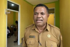 Pemkot Jayapura: Perpustakaan digital mudahkan warga mendapat bahan baca