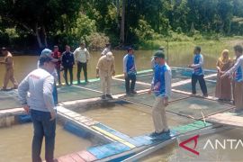 Desa Karang Dapo OKU  panen patin hasil budi daya masyarakat