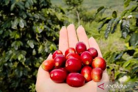 Ini 10 buah yang bisa turunkan asam urat secara alami