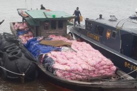 Bea Cukai Bengkalis gagalkan penyelundupan 30 ton bawang putih dari Malaysia