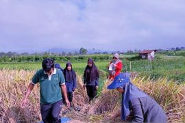 OJK: Laba asuransi umum dan reasuransi Rp4,22 triliun per Maret 2026