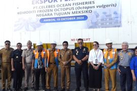 Maluku ekspor perdana 15,83 ton gurita beku ke Meksiko