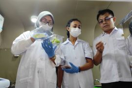 Distanpangan Bali pastikan anggur shine muscat yang beredar aman dikonsumsi