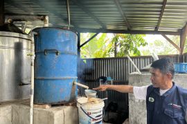 Melirik minyak  asiri sebagai peluang usaha menjanjikan dari Ambon