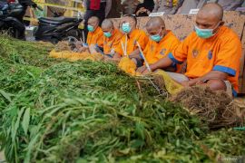 Rilis pengembangan kasus ladang ganja di kawasan TNBTS