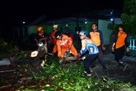 Bencana angin kencang di Madiun