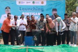 Pemkab Bekasi kembangkan usaha sentra budi daya ikan patin