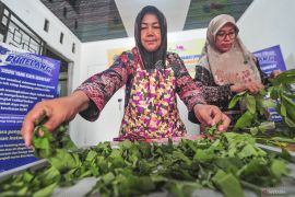 Dekan ITB: Potensi alam kunci kemandirian farmasi Indonesia