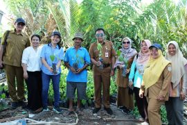 Disbun Kaltim rehabilitasi kebun lada  di Kota Balikpapan