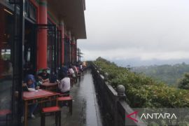 Nikmati sensasi kabut Gunung Gede Pangrango di Istana Panda TSI Bogor