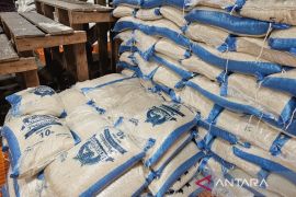 Distan Papua minta kabupaten dan kota perkuat cadangan pangan