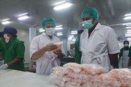 Emil Dardak puji penerapan standar tinggi di pabrik ekspor RUM seafood