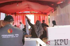 Bawaslu: Pengawas TPS minimal wajib pendidikan dasar
