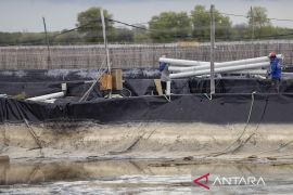 KKP berencana merevitalisasi lahan tambak terbengkalai di wilayah Pantai Utara Jawa