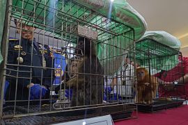 Bea Cukai tangkap warga India selundupkan empat ekor satwa dilindungi