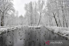 Duck Syndrome: tenang di luar, panik di dalam