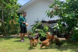 Dirut PT Timah monitor program PPM di Mentok Bangka Barat