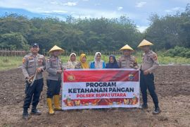 Polsek Rupat Utara galakkan ketahanan pangan petani lokal
