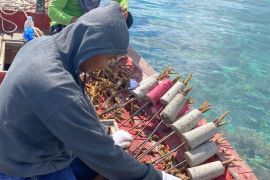 Pemkab Natuna ajak masyarakat menjaga keseimbangan alam
