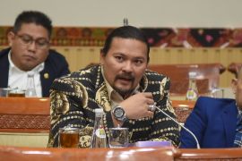 Anggota DPR minta polisi usut artis promosikan judi daring