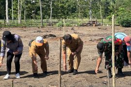 Pemkab Jayapura kolaborasi dengan masyarakat adat dukung program food estate