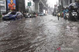 Pakar ingatkan warga waspadai diare dan leptospirosis saat banjir