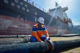 Harga CPO turun karena permintaan dan produksi tidak seimbang