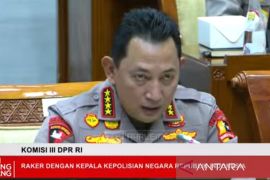 Polri tangani 8.527 kasus tindak pidana sumber daya alam