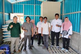 Hingga Oktober, Serapan pupuk subsidi di Situbondo capai 81 persen