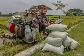Peningkatan realisasi anggaran untuk ketahanan pangan
