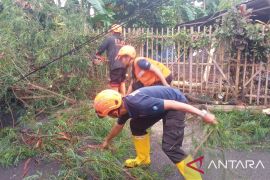 BPBD sebut bencana cuaca ekstrem landa belasan lokasi di Kota Sukabumi