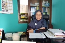 Optimalisasi lahan mampu tingkatkan produksi padi Belitung