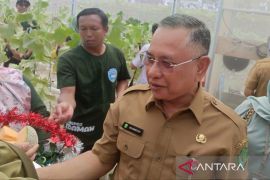 Disdikbud Kaltim  pertajam program penanaman pohon dari sekolah