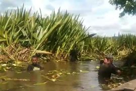 Masyarakat Rianiate Tapsel normalisasi aliran sungai Danau Siais