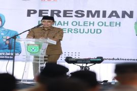 Pemda fasilitasi UMKM Tanah Bumbu menuju pasar Nasional