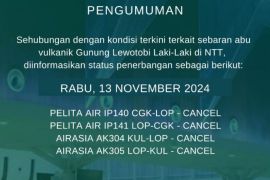 Dua rute penerbangan di Bandara Lombok batal dampak letusan Lewotobi&nbsp;