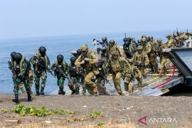 Pengamat usul kapal LCM dan LCVP tak hanya diperbanyak untuk TNI
