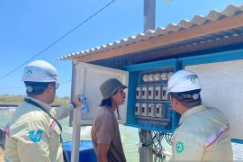 Petambak udang Takalar: Rugi, tanpa energi hijau PLN