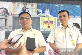 Bapanas dorong pengadaan tol udara di Papua