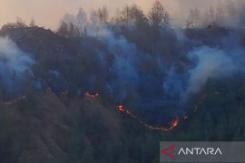 Ada kebakaran, pendakian Rinjani via jalur Senaru ditutup sementara