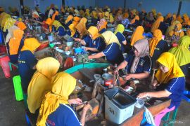 Pemerintah diminta melindungi industri kretek nasioal