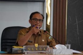 Pemkot Padang Panjang ikuti penilaian SPBE 2024