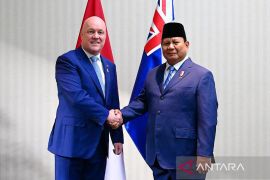 Selandia Baru: Pengakuan Negara Palestina akan diumumkan di PBB